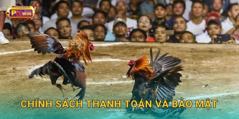 Chính sách thanh toán và bảo mật